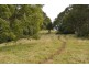Millaa Millaa QLD 4886