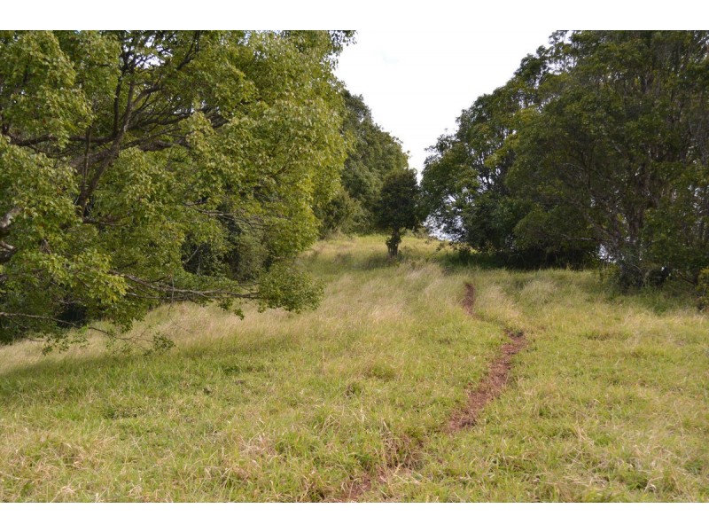 Millaa Millaa QLD 4886