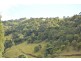 Millaa Millaa QLD 4886