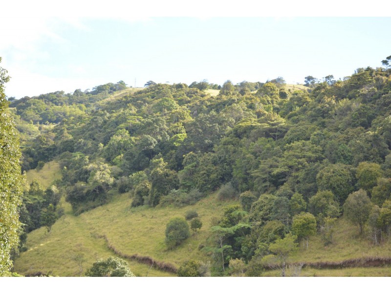Millaa Millaa QLD 4886