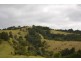 Millaa Millaa QLD 4886