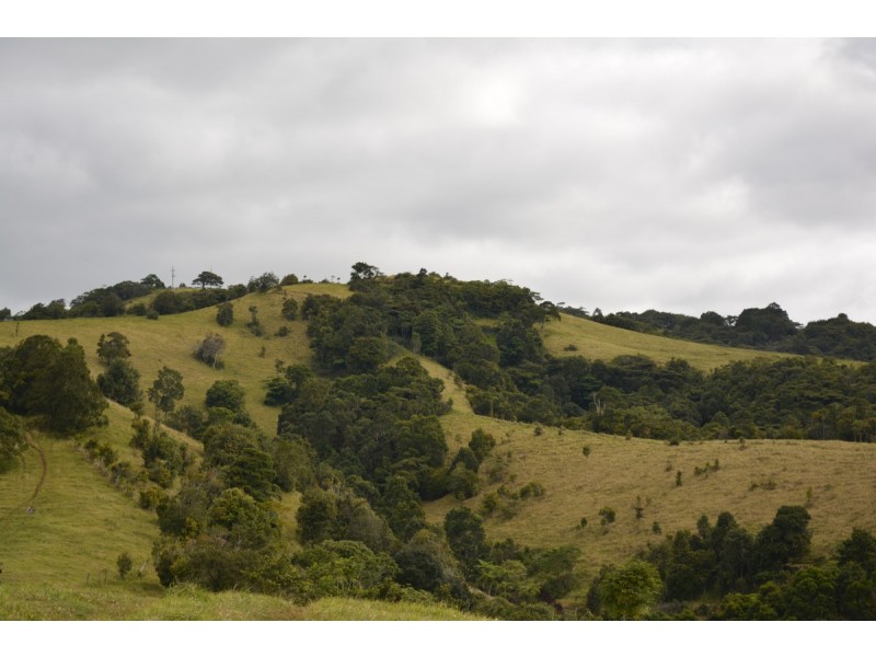 Millaa Millaa QLD 4886