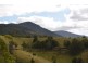 Millaa Millaa QLD 4886