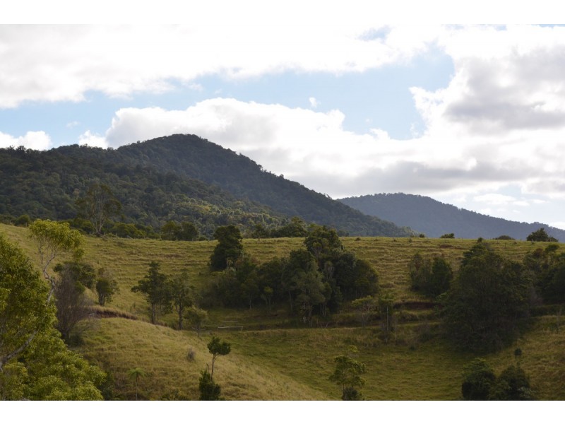 Millaa Millaa QLD 4886