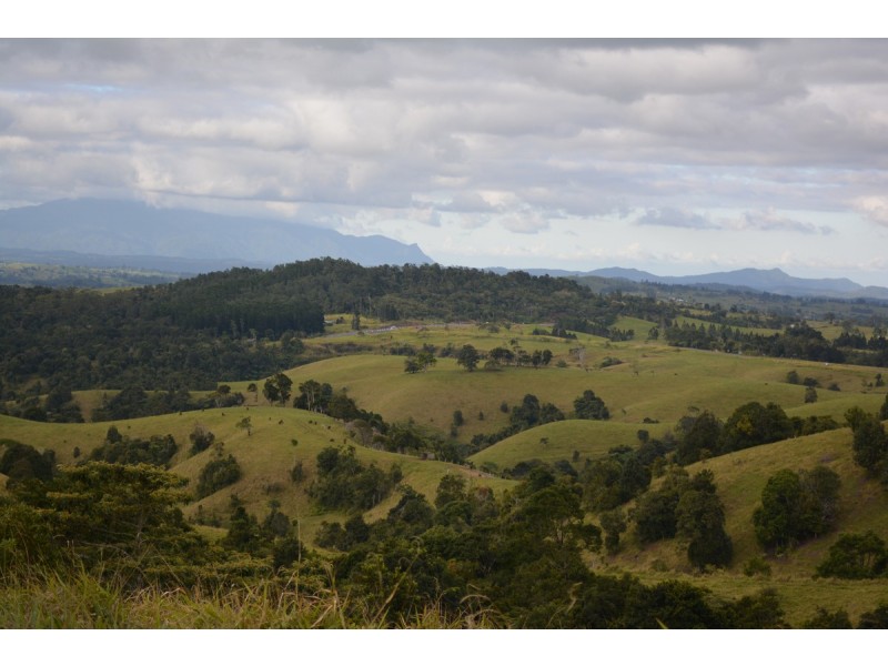 Millaa Millaa QLD 4886