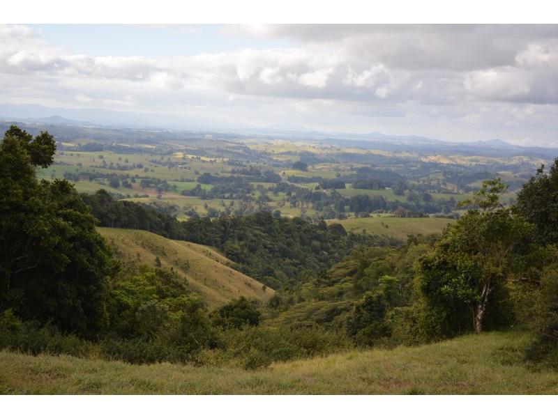 Millaa Millaa QLD 4886