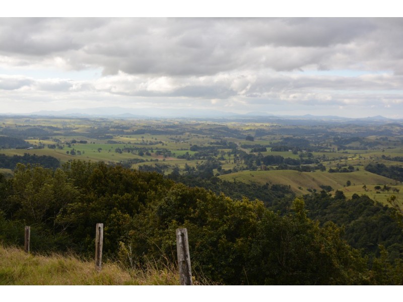 Millaa Millaa QLD 4886