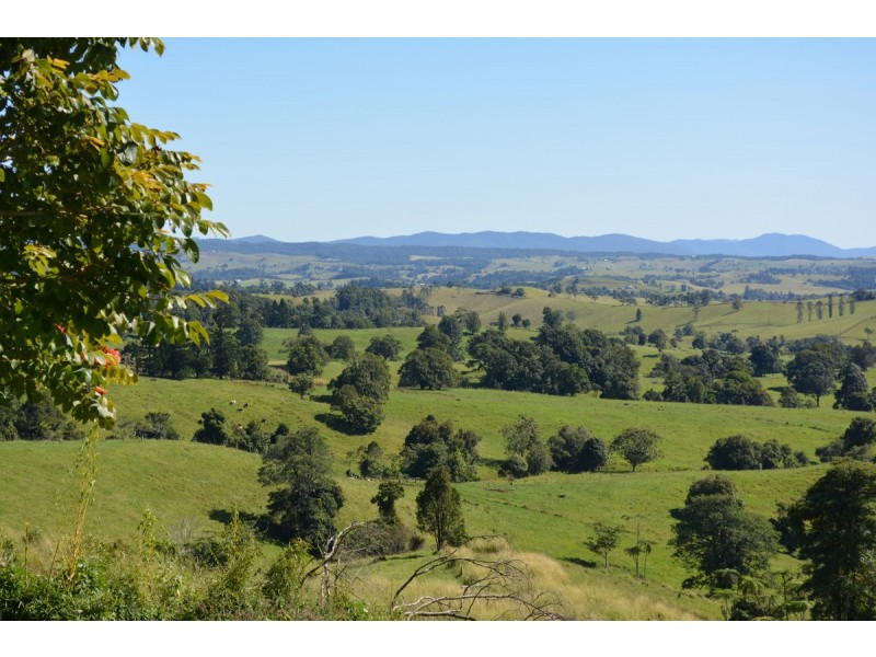 Millaa Millaa QLD 4886