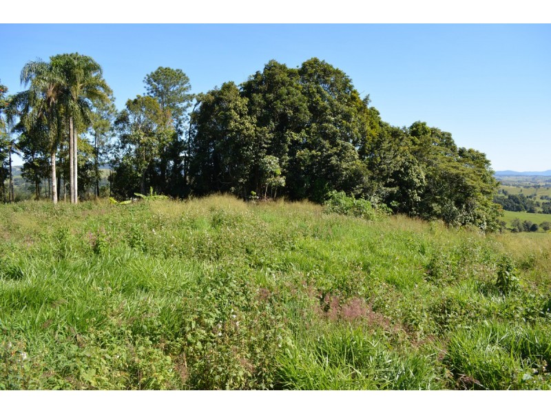 Millaa Millaa QLD 4886