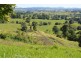 Millaa Millaa QLD 4886