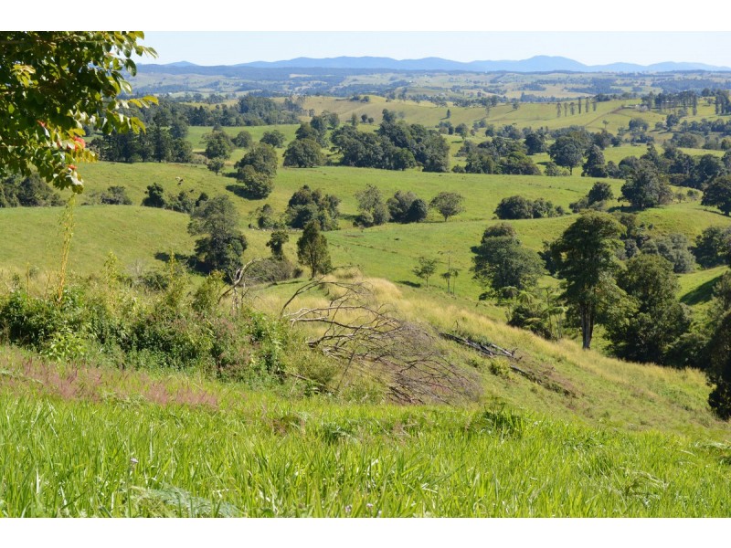 Millaa Millaa QLD 4886