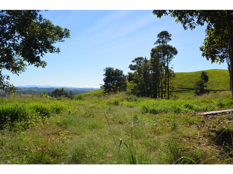 Millaa Millaa QLD 4886