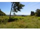 Millaa Millaa QLD 4886