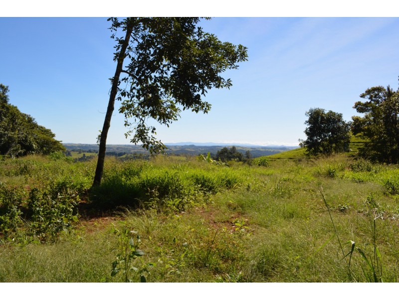 Millaa Millaa QLD 4886