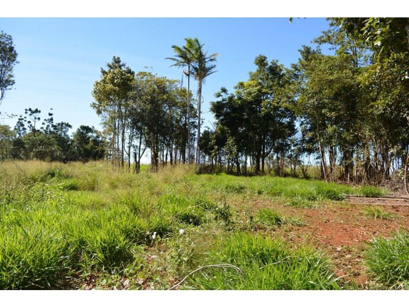 Millaa Millaa QLD 4886