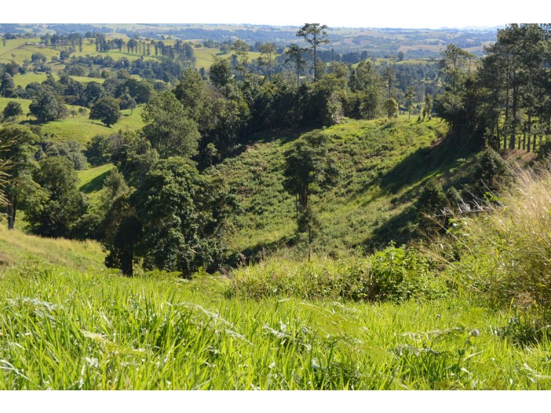 Millaa Millaa QLD 4886