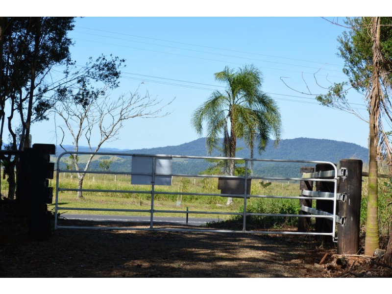 Millaa Millaa QLD 4886