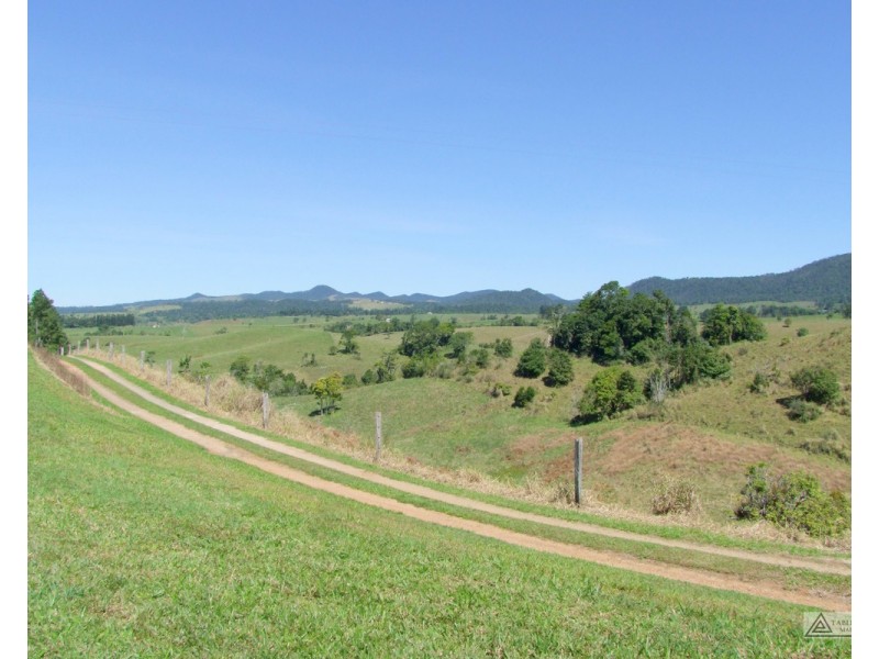 Millaa Millaa QLD 4886