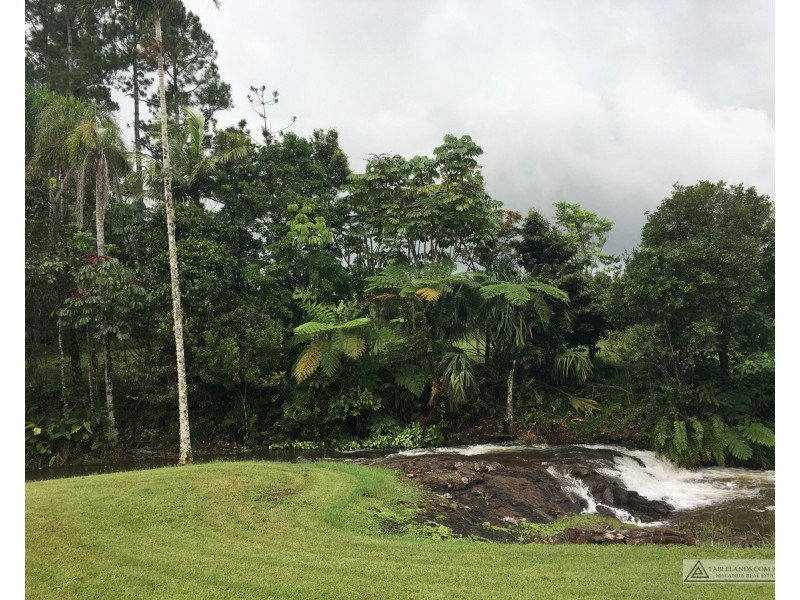 Millaa Millaa QLD 4886