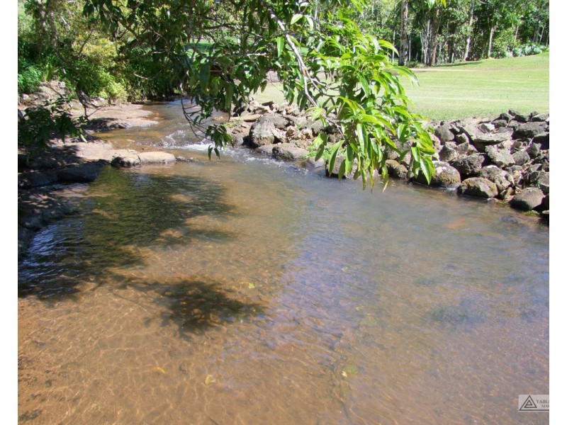 Millaa Millaa QLD 4886