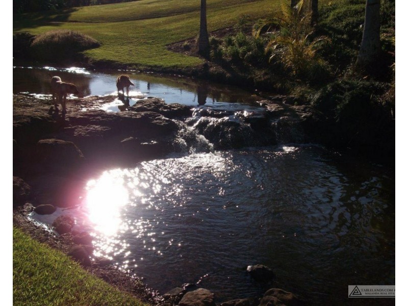 Millaa Millaa QLD 4886