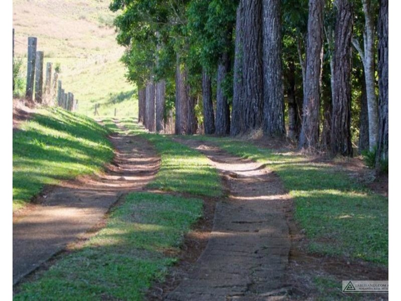 Millaa Millaa QLD 4886