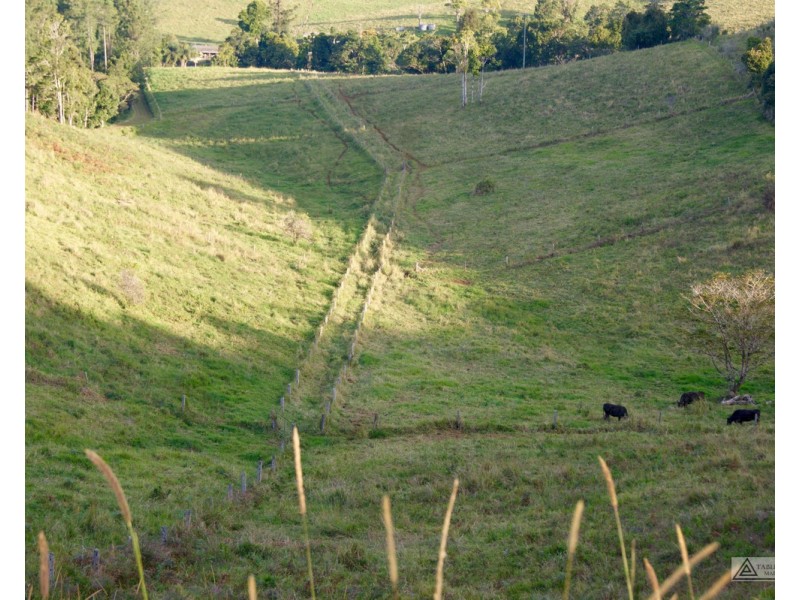 Millaa Millaa QLD 4886