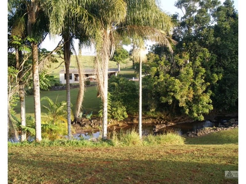 Millaa Millaa QLD 4886