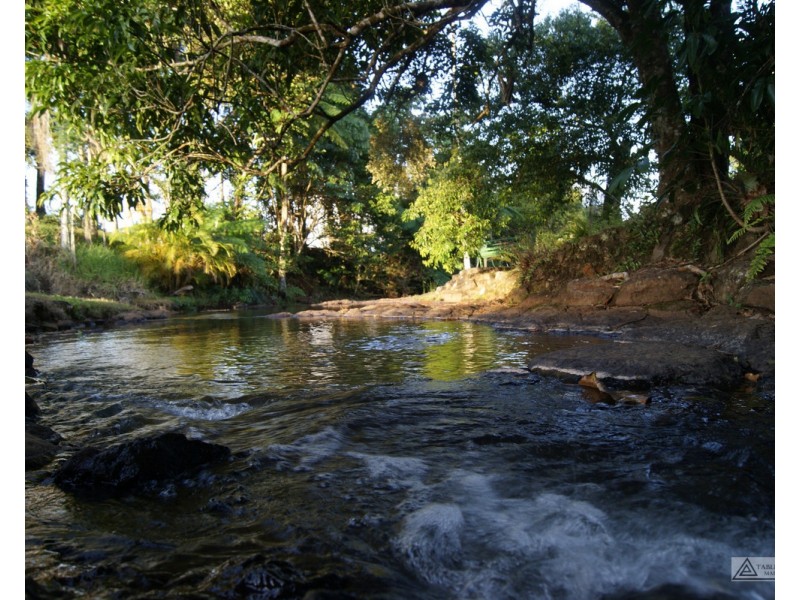 Millaa Millaa QLD 4886