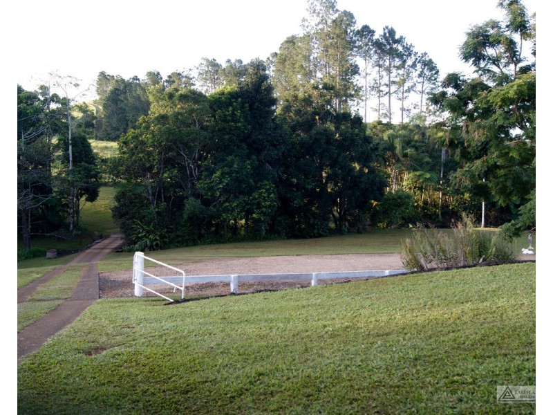 Millaa Millaa QLD 4886