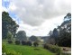 Tarzali QLD 4885