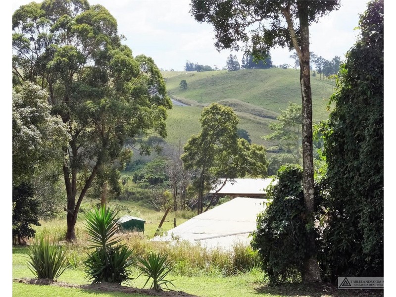 Tarzali QLD 4885