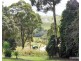 Tarzali QLD 4885