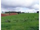Millaa Millaa QLD 4886