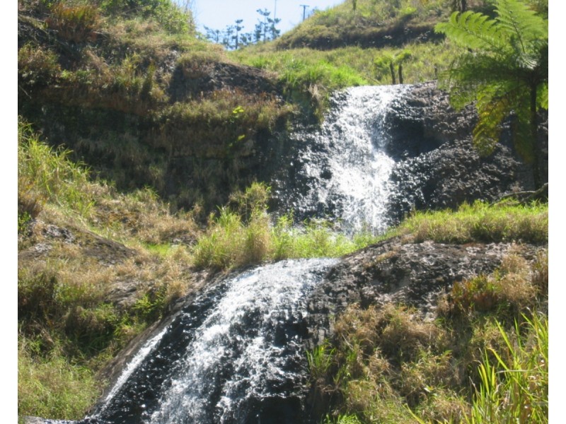 Millaa Millaa QLD 4886