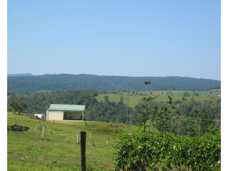 Millaa Millaa QLD 4886