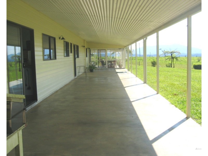 Millaa Millaa QLD 4886