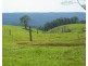 Millaa Millaa QLD 4886