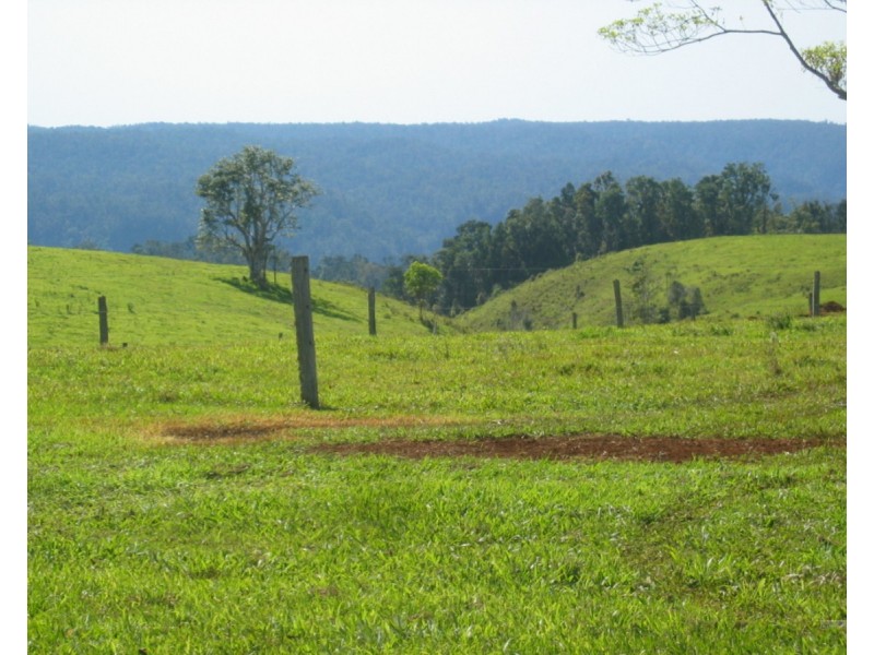 Millaa Millaa QLD 4886