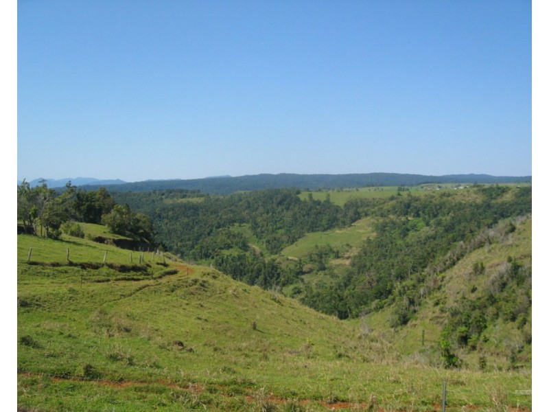 Millaa Millaa QLD 4886