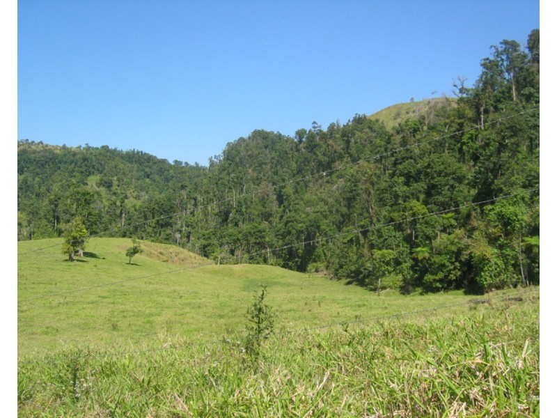 Millaa Millaa QLD 4886