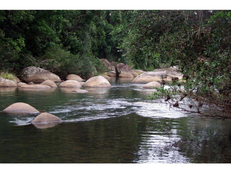 Millaa Millaa QLD 4886