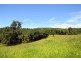Millaa Millaa QLD 4886