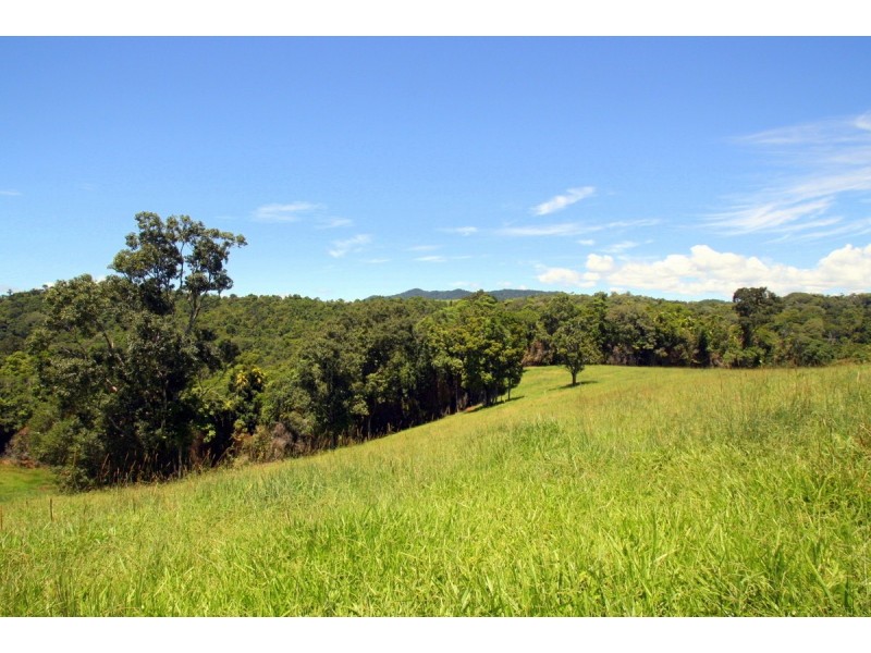 Millaa Millaa QLD 4886