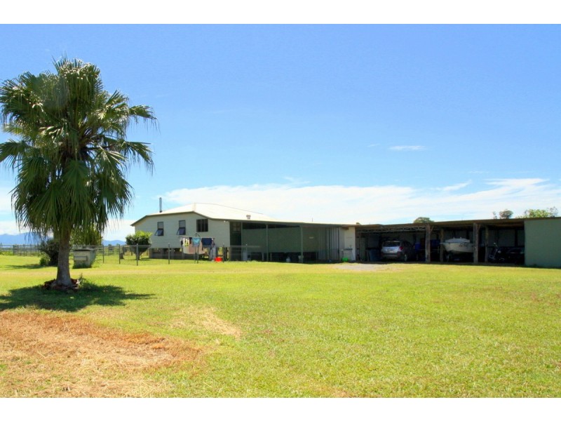 Millaa Millaa QLD 4886