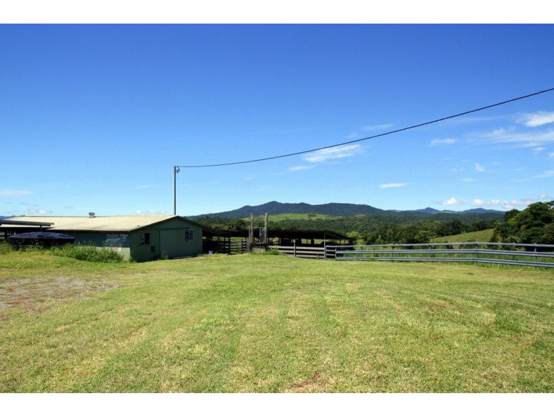 Millaa Millaa QLD 4886