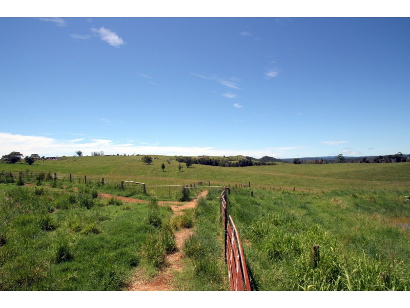 Millaa Millaa QLD 4886