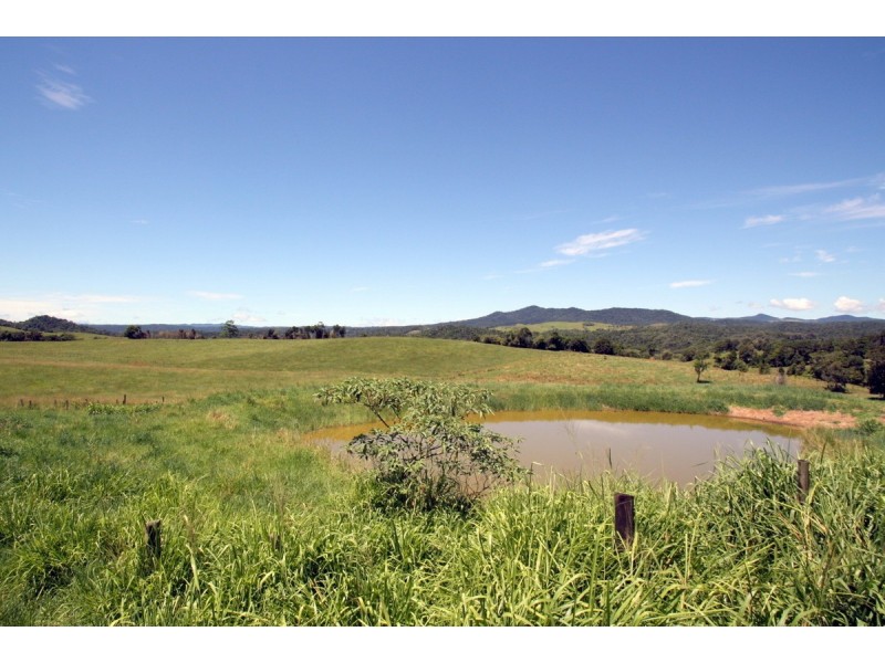 Millaa Millaa QLD 4886