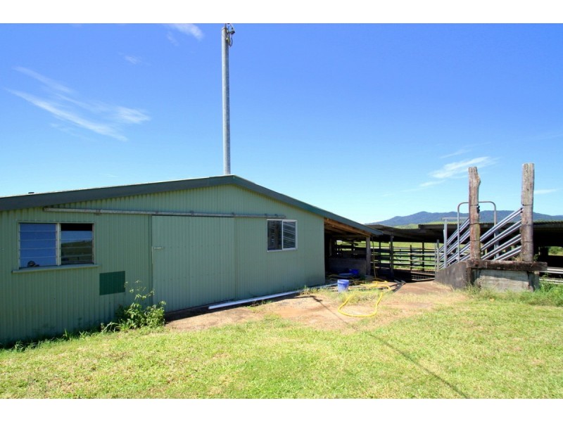 Millaa Millaa QLD 4886