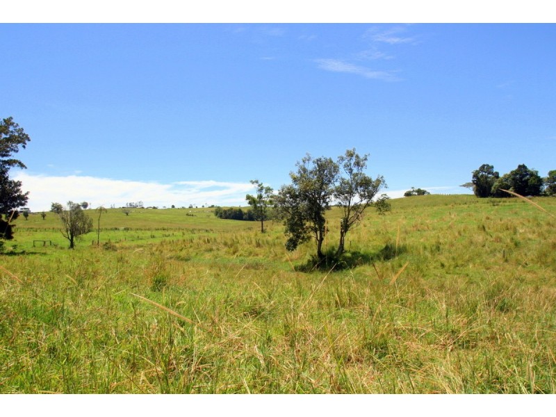 Millaa Millaa QLD 4886